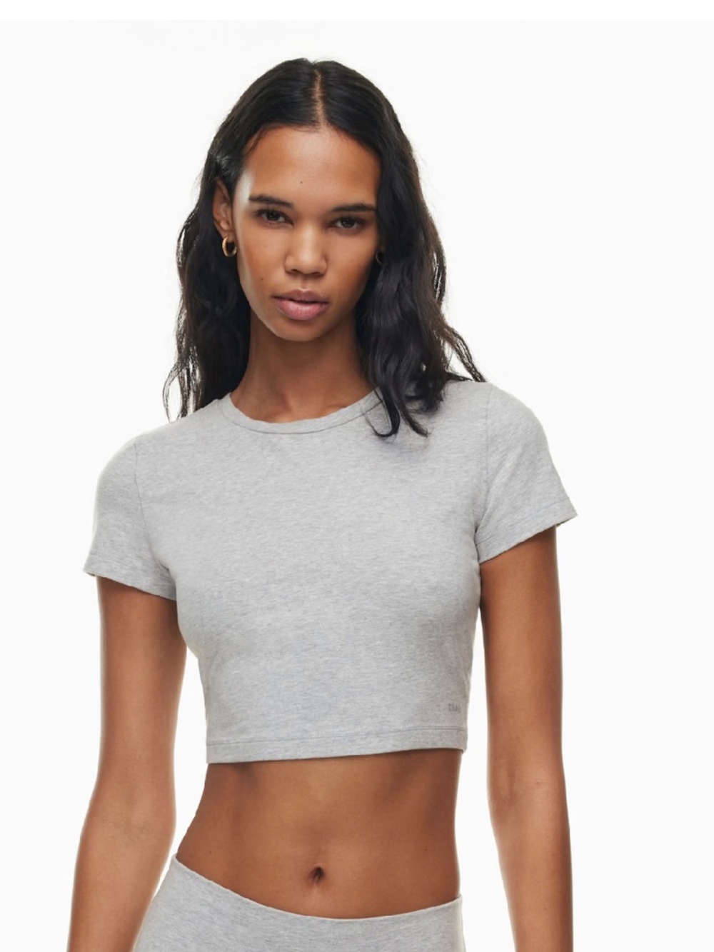 ARITZIA TNA GREY CROPPED TOP